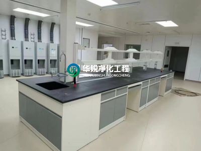 西北风沙、高海拔洁净实验室难达标？华锐净化定制方案攻克地域施工痛点